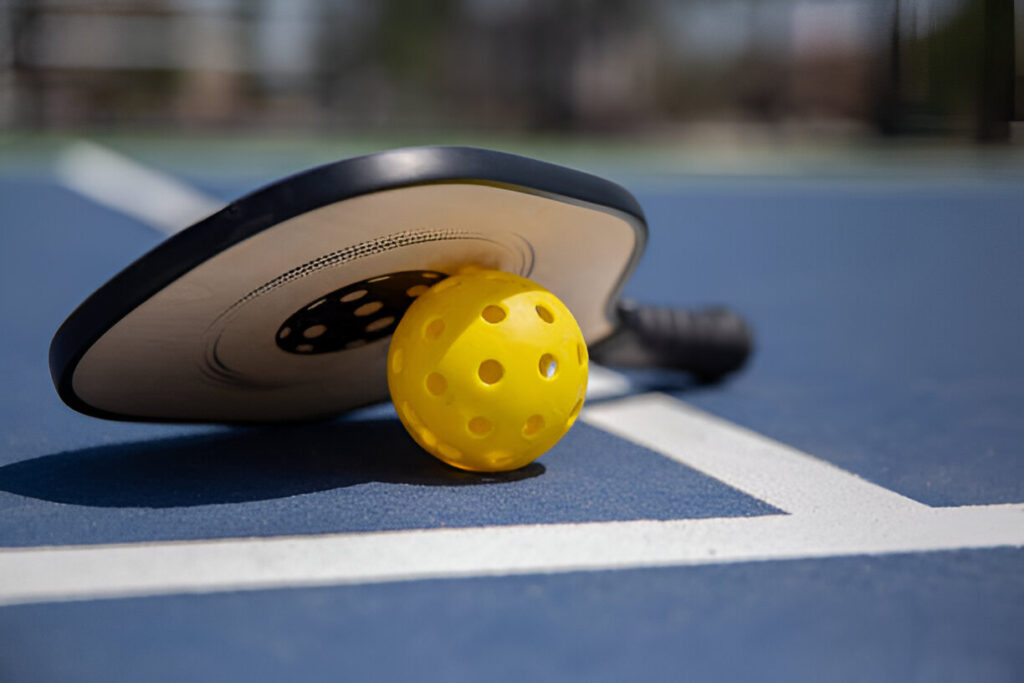 best pickleball paddles under $100